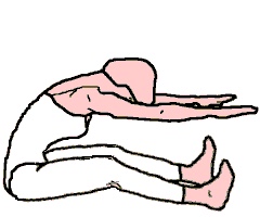 Ligamento vertebral común posterior y el supraespinoso