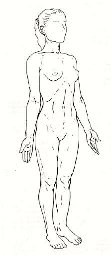 Línea Media que atraviesa nuestro cuerpo por la mitad