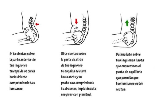 Posición de los isquiones en función de la posición de la pelvis.