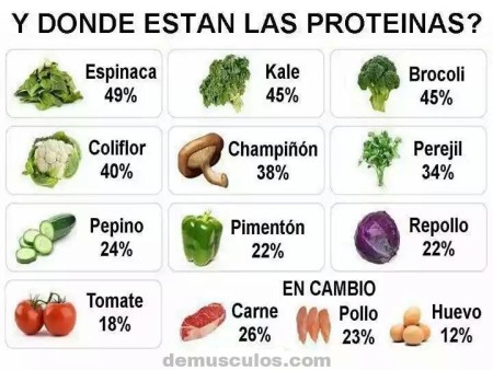 Comparación proteínas carne y verduras